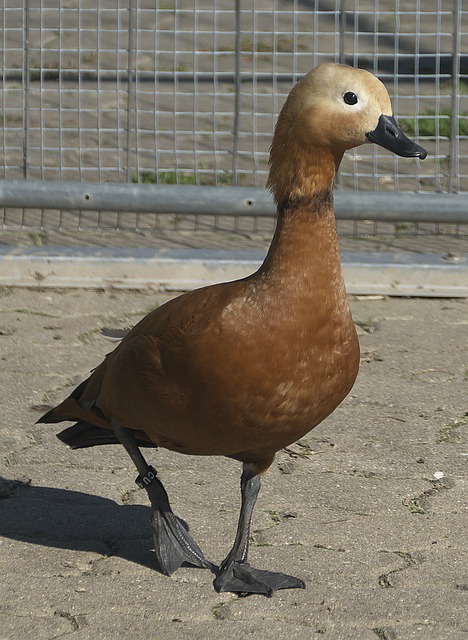 理与