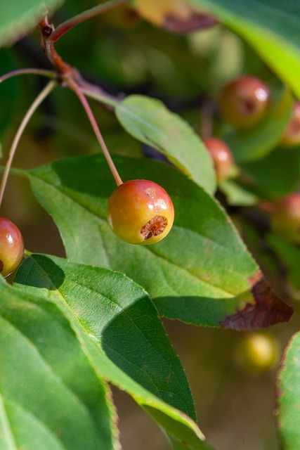 基德：浓眉复出首战攻防两端打得很好，下场对阵快船将缺席