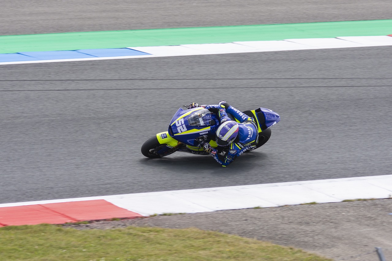 陈晋一妹妹代表香港队参加全运会空手道业余组，并最终夺冠